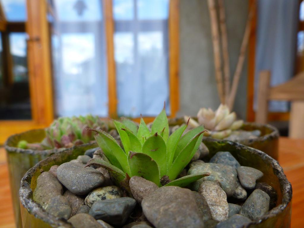 Earthship Patagonia Eco Accommodations El Bolson Exterior photo